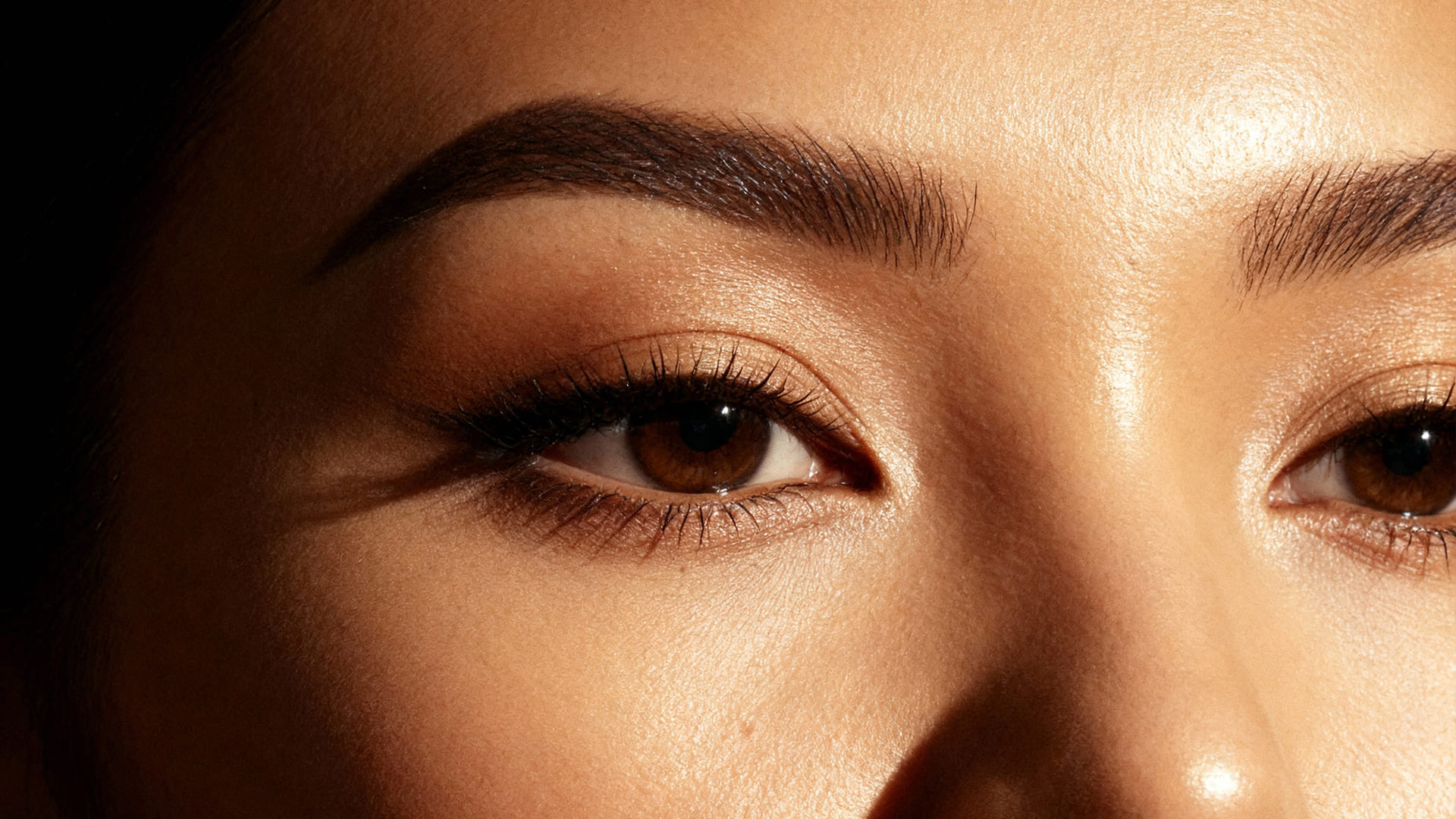 dermacol eyebrow gel application